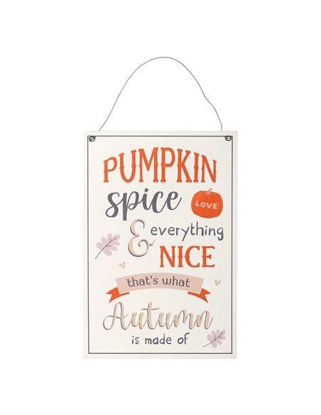 30cm Pumpkin Spice Hanging Sign HA_37831 - pic 140705 | FastDaddyshop
