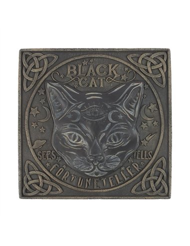 Black Cat Stepping Stone  PA_35125