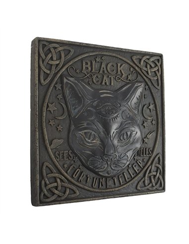 Black Cat Stepping Stone  PA_35125