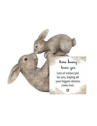 Some Bunny Loves You Ornament FO_29738