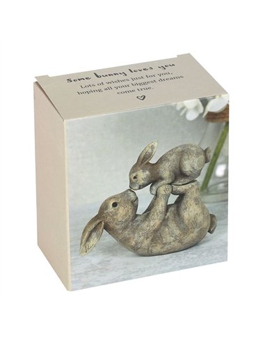 Some Bunny Loves You Ornament FO_29738