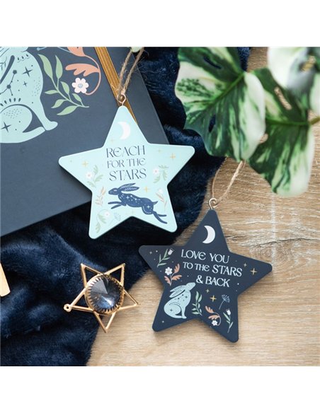 Love You to the Stars and Back Hare Hanging Decoration NI_98924 - pic 140977 | FastDaddyshop