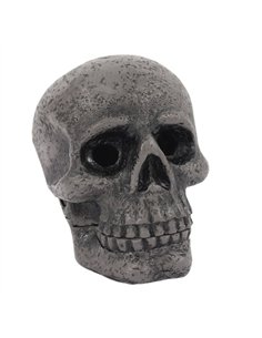 Skull Incense Cone Holder CC_57826