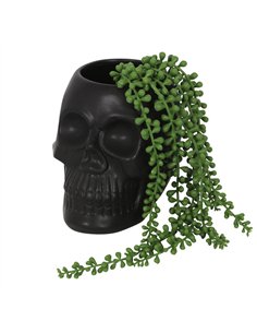 Black Skull Plant Pot MT_94422