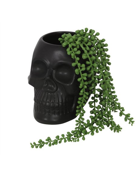 Black Skull Plant Pot MT_94422 - pic 141139 | FastDaddyshop