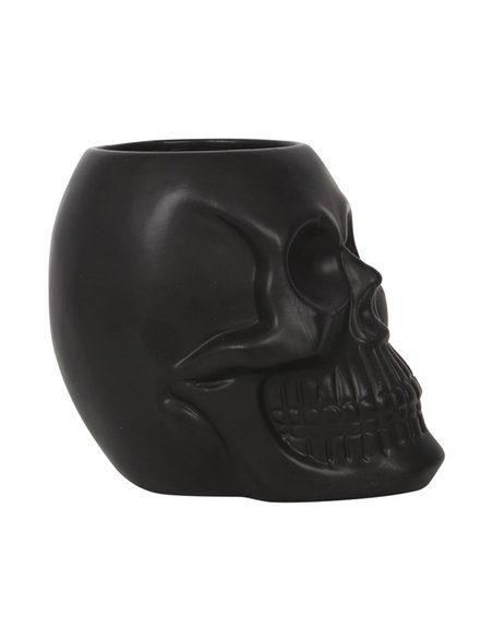 Black Skull Plant Pot MT_94422 - pic 141141 | FastDaddyshop