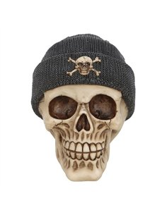 Skull Ornament with Beanie SK_12524 2