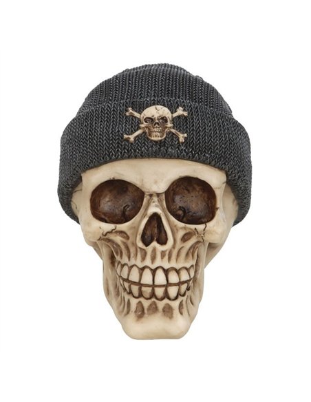 Skull Ornament with Beanie SK_12524 - pic 141160 | FastDaddyshop