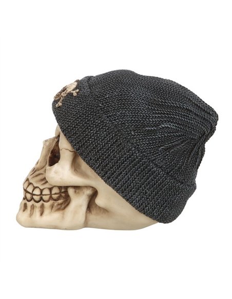 Skull Ornament with Beanie SK_12524 - pic 141161 | FastDaddyshop