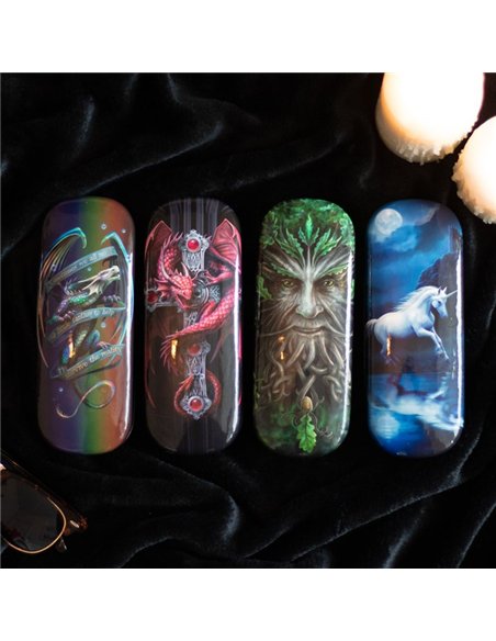 Gothic Guardian Glasses Case by Anne Stokes AS_33623 - pic 141216 | FastDaddyshop