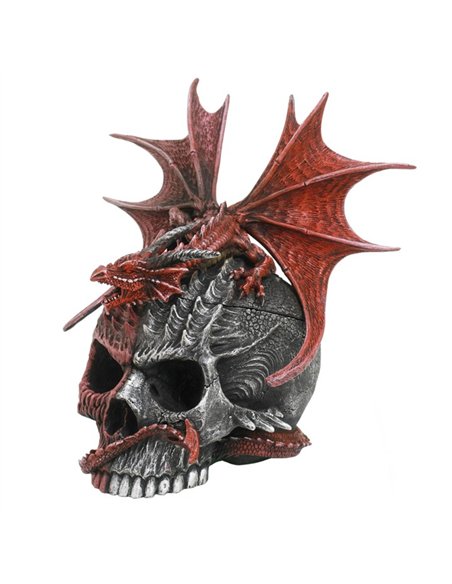 Serpent Infection Lidded Skull Ornament by Spiral Direct SD_30424 - pic 141306 | FastDaddyshop