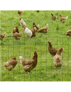 PawHut 0.6M x 10M Chicken Wire Mesh Roll Rabbit Poultry Animal Fence PVC Coated Steel Metal Garden Netting Fencing 2