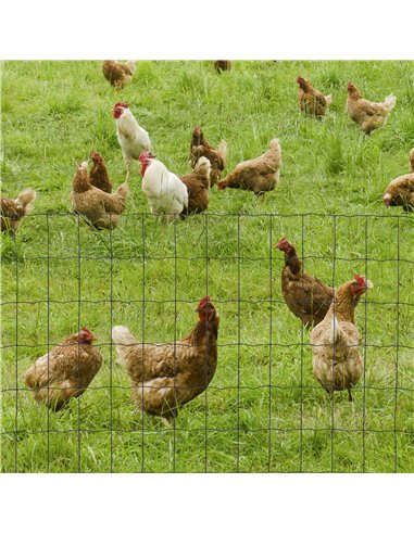 PawHut 0.6M x 10M Chicken Wire Mesh Roll Rabbit Poultry Animal Fence PVC Coated Steel Metal Garden Netting Fencing