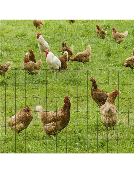 PawHut 0.6M x 10M Chicken Wire Mesh Roll Rabbit Poultry Animal Fence PVC Coated Steel Metal Garden Netting Fencing - pic 141501 | FastDaddyshop