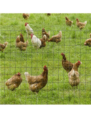 PawHut 1M x 10M Chicken Wire Mesh Roll Rabbit Poultry Animal Fence PVC Coated Steel Metal Garden Netting Fencing