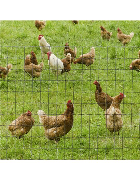 PawHut 1M x 10M Chicken Wire Mesh Roll Rabbit Poultry Animal Fence PVC Coated Steel Metal Garden Netting Fencing - pic 141510 | FastDaddyshop