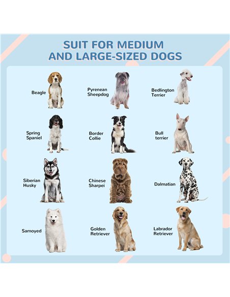 PawHut Plastic Weather-Resistant Dog House, for Indoors and Outdoors, Large Dogs - White and Blue - pic 142010 | FastDaddyshop