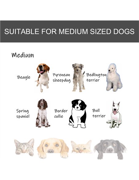 PawHut Metal Dog Cage Kennel Locking Door & Wheels Removable Tray Openable Top For Medium Pets 94 x 58 x 69.5 cm - pic 142479 | FastDaddyshop