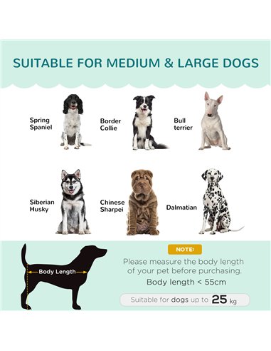 PawHut Dog Sofa, Pet Couch Bed for Medium, Large Dogs, with Legs, Cushion - Green