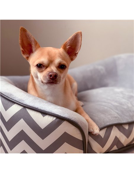 PawHut Dog Sofa Pet Couch for XS Dogs w/ Removable Sponge Padded Cushion - Grey - pic 144225 | FastDaddyshop