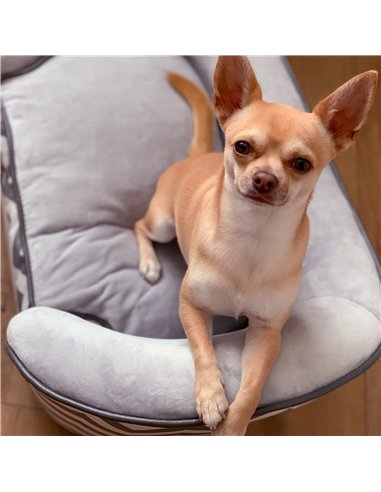 PawHut Dog Sofa Pet Couch for XS Dogs w/ Removable Sponge Padded Cushion - Grey