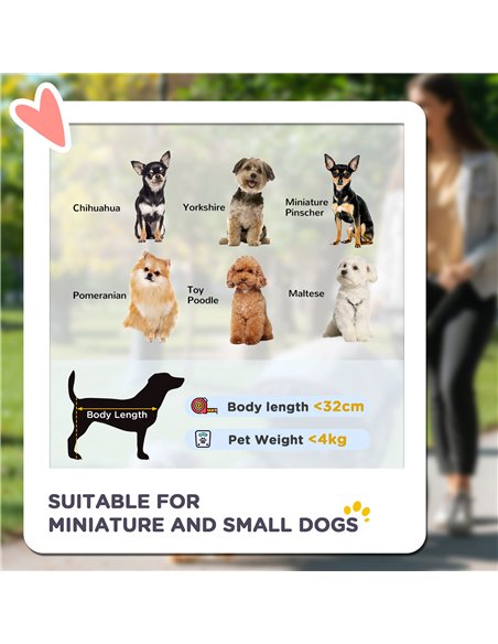 PawHut Dog Pram Dog Stroller Foldable Pet Pushchair with 4 Wheels, Safety Leashes, Cup Holder for Small Dogs, Grey - pic 144671 | FastDaddyshop