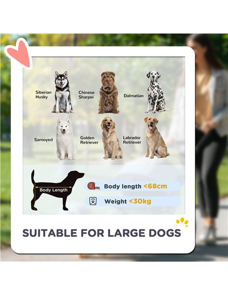PawHut Easy Folding Pet Stroller for Large Dogs with 4 Big Wheels, Shock Absorb Frame, Safety Leashes, Brakes, Dark Grey - pic 145535 | FastDaddyshop