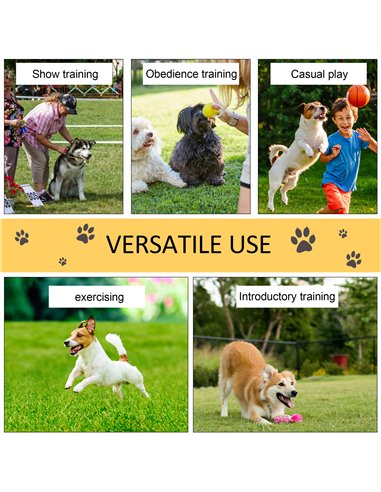 PawHut Pet Agility Training Equipment Dog Play Run Obedience Training Set Adjustable (Poles)