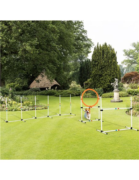 PawHut 3 Piece Pet Agility Training Equipment Dog Play Run Jump Obedience Training Set Adjustable (Pole + Hoop + Hurdle) - pic 145632 | FastDaddyshop
