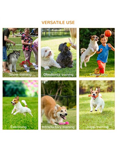 PawHut 3 Piece Pet Agility Training Equipment Dog Play Run Jump Obedience Training Set Adjustable (Pole + Hoop + Hurdle)