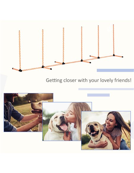 PawHut Dog Agility Equipment Pet Outdoor Training Play Run Obstacle w/ 6 Weaves Poles Whistle Carrying Bag - pic 145672 | FastDaddyshop