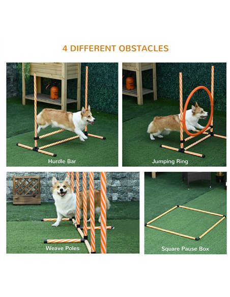 PawHut Dog Agility Equipment Pet Training Set with Adjustable Height Jump Ring Hurdle Whistle Weave Poles Square Pause Box Carry - pic 145679 | FastDaddyshop