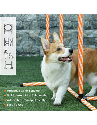PawHut Dog Agility Equipment Pet Training Set with Adjustable Height Jump Ring Hurdle Whistle Weave Poles Square Pause Box Carry