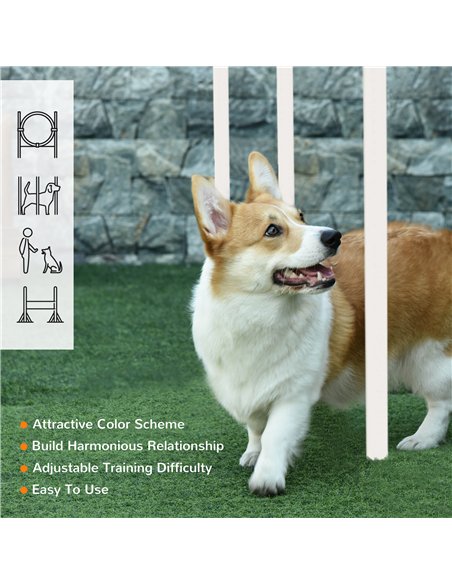 PawHut Dog Agility Training Equipment for Dogs with Carry Bag - Multicoloured - pic 145706 | FastDaddyshop