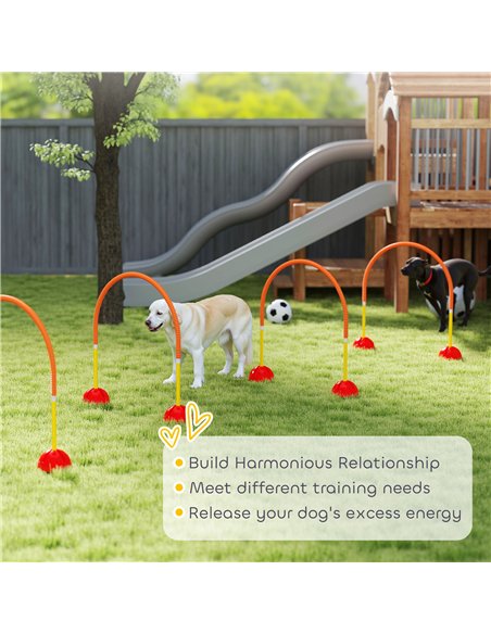PawHut 4 Piece Dog Agility Training Equipment with 4 Adjustable Width Doors, Carry Bag, for Garden, Orange - pic 145826 | FastDaddyshop