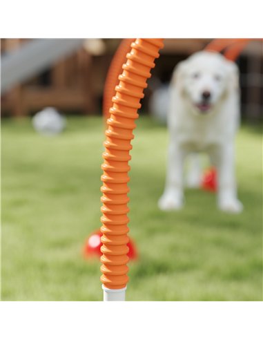 PawHut 4 Piece Dog Agility Training Equipment with 4 Adjustable Width Doors, Carry Bag, for Garden, Orange