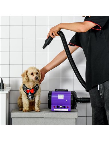 PawHut Dog Hair Dryer Pet Grooming Blaster Dryer Blower Adjustable Temperature Speed with 2.1M Flexible Hose 3 Nozzles - Purple
