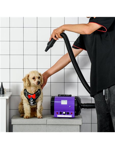 PawHut Dog Hair Dryer Pet Grooming Blaster Dryer Blower Adjustable Temperature Speed with 2.1M Flexible Hose 3 Nozzles - Purple - pic 146235 | FastDaddyshop
