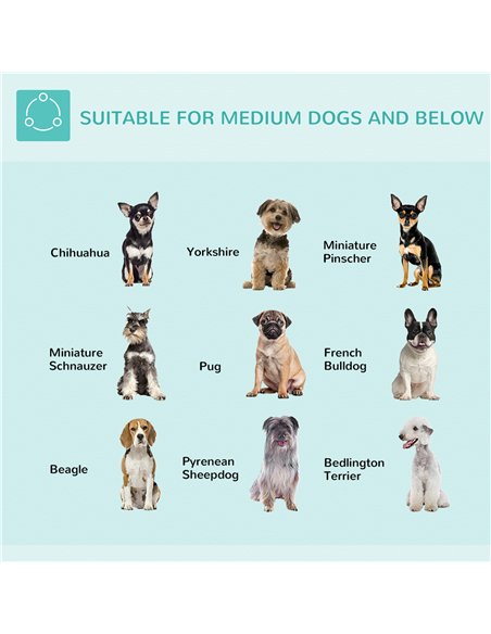 PawHut Adjustable Pet Grooming Arm, with Clamp, Haunch Holders & Grooming Loop - Sliver-Tone - pic 146259 | FastDaddyshop