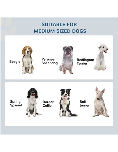 PawHut Raised Dog Feeding Bowls with Stand, Stainless Steel for Medium Dog, 58L x 31W x 25H cm - Brown