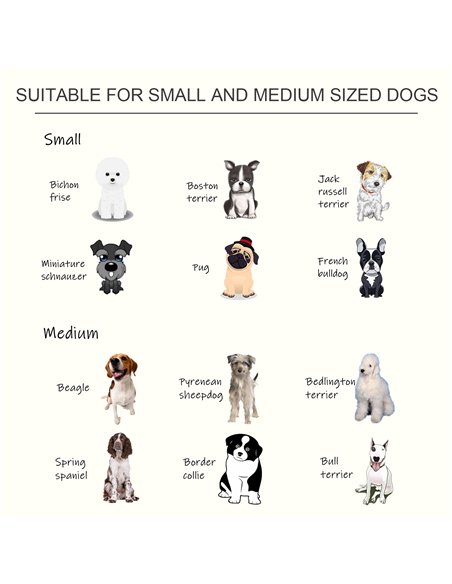 PawHut Raised Dog Feeding Bowls with Stand, Stainless Steel for Medium Dog, 58L x 31W x 25H cm - White - pic 146348 | FastDaddyshop