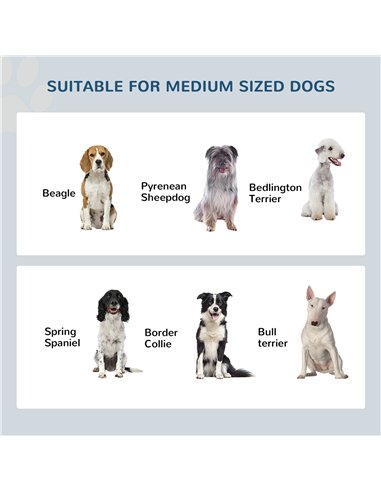 PawHut Raised Dog Feeding Bowls with Stand, Stainless Steel for Medium Dog, 58L x 31W x 25H cm - Grey