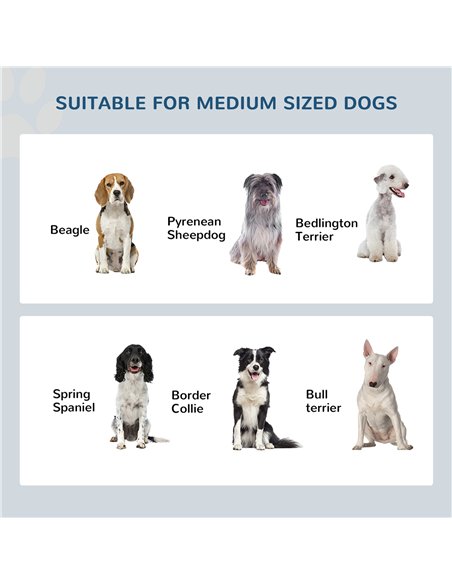 PawHut Raised Dog Feeding Bowls with Stand, Stainless Steel for Medium Dog, 58L x 31W x 25H cm - Grey - pic 146510 | FastDaddyshop