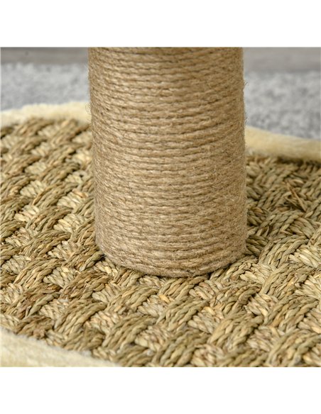 PawHut 56cm Cat Tree for Indoor Cats, with Scratching Post, Tunnel, Toy Ball - Beige - pic 146593 | FastDaddyshop