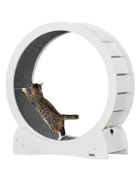 PawHut 30" Wooden Cat Running Wheel with Brake, White - pic 147314 | FastDaddyshop