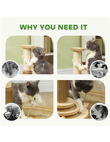 PawHut 49cm 5 in 1 Cat Scratching Post with Sisal Post, Track Ball, Self Grooming Brush, Hanging Toy Ball, Feather, Oak Tone - pic 147463 | FastDaddyshop