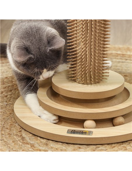 PawHut 49cm 5 in 1 Cat Scratching Post with Sisal Post, Track Ball, Self Grooming Brush, Hanging Toy Ball, Feather, Oak Tone - pic 147464 | FastDaddyshop