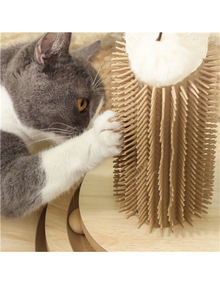 PawHut 49cm 5 in 1 Cat Scratching Post with Sisal Post, Track Ball, Self Grooming Brush, Hanging Toy Ball, Feather, Oak Tone - pic 147465 | FastDaddyshop