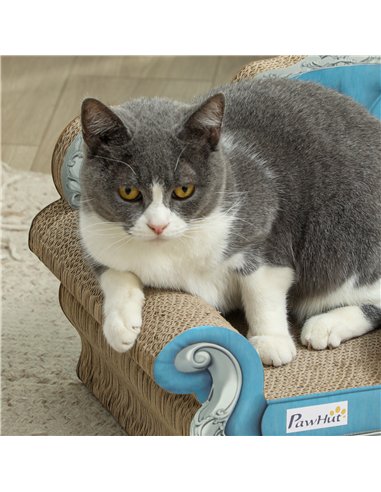 PawHut 2-in-1 Cat Scratcher with Catnip for Indoor Cats, Light Blue