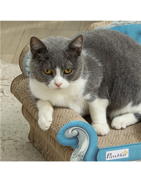 PawHut 2-in-1 Cat Scratcher with Catnip for Indoor Cats, Light Blue - pic 147564 | FastDaddyshop
